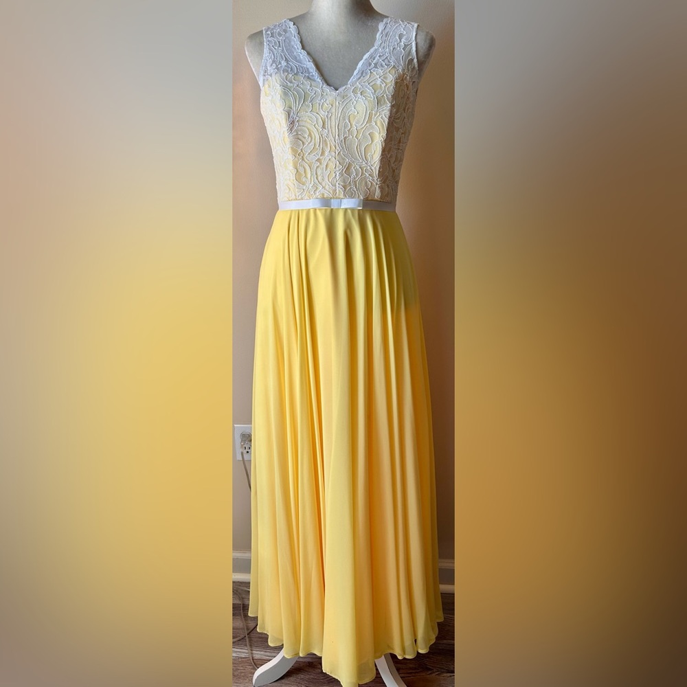 After Six Whimsical Lace Bodice V-Neck Romantic Dress‎ Sz 4 Fairycore Cottage
